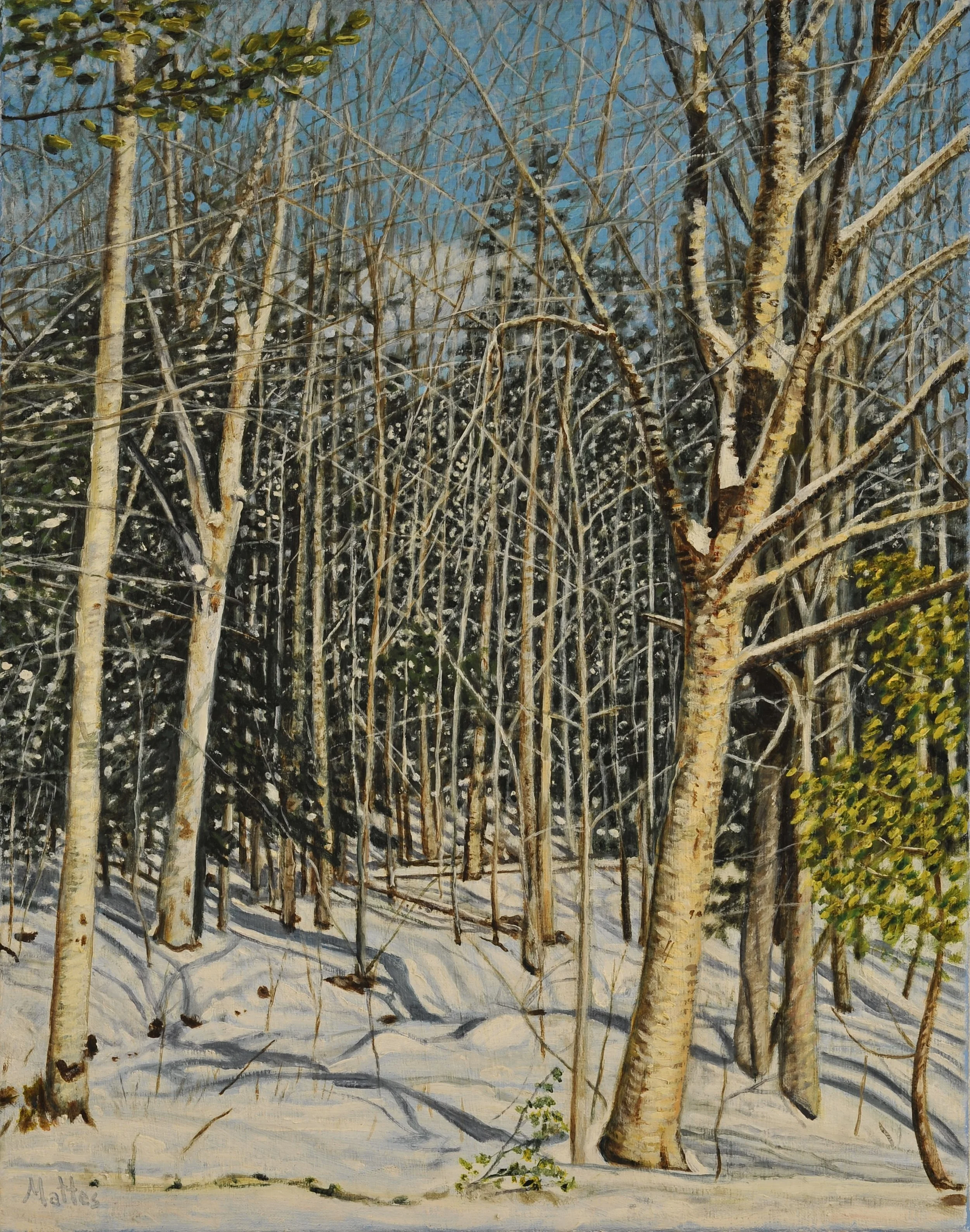 Snowy Woods 18" X 23"