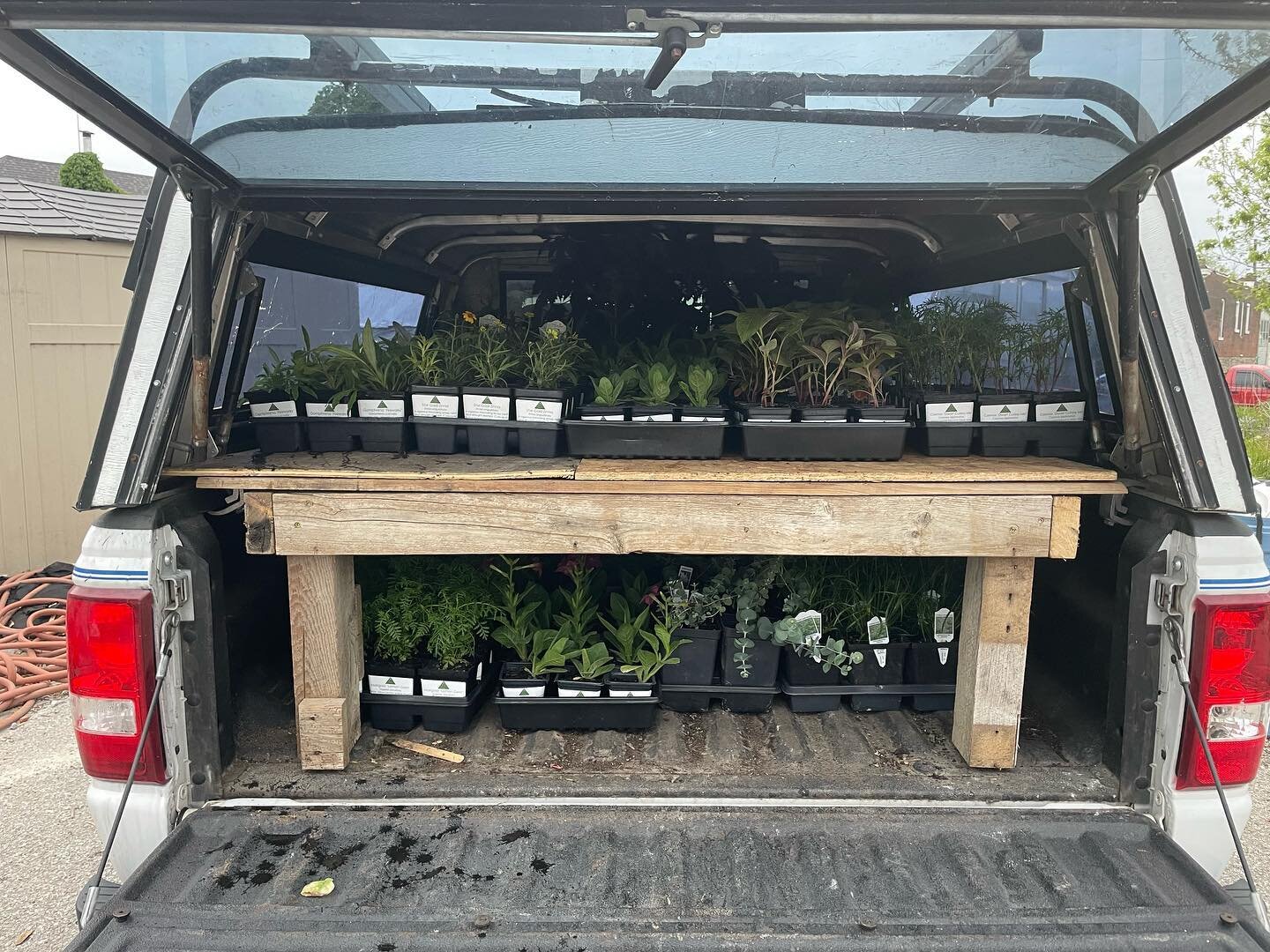 Delivery days are upon us! #urbannursery #peatfree