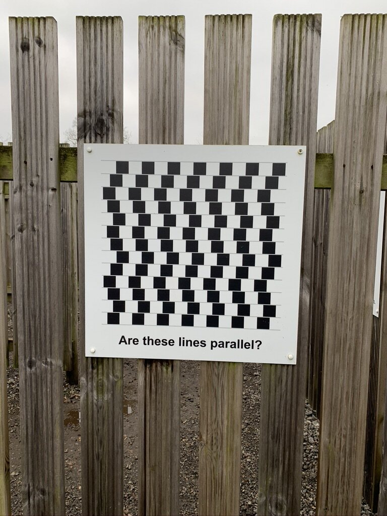 'Parallel Lines?' - Odds Farm, UK.