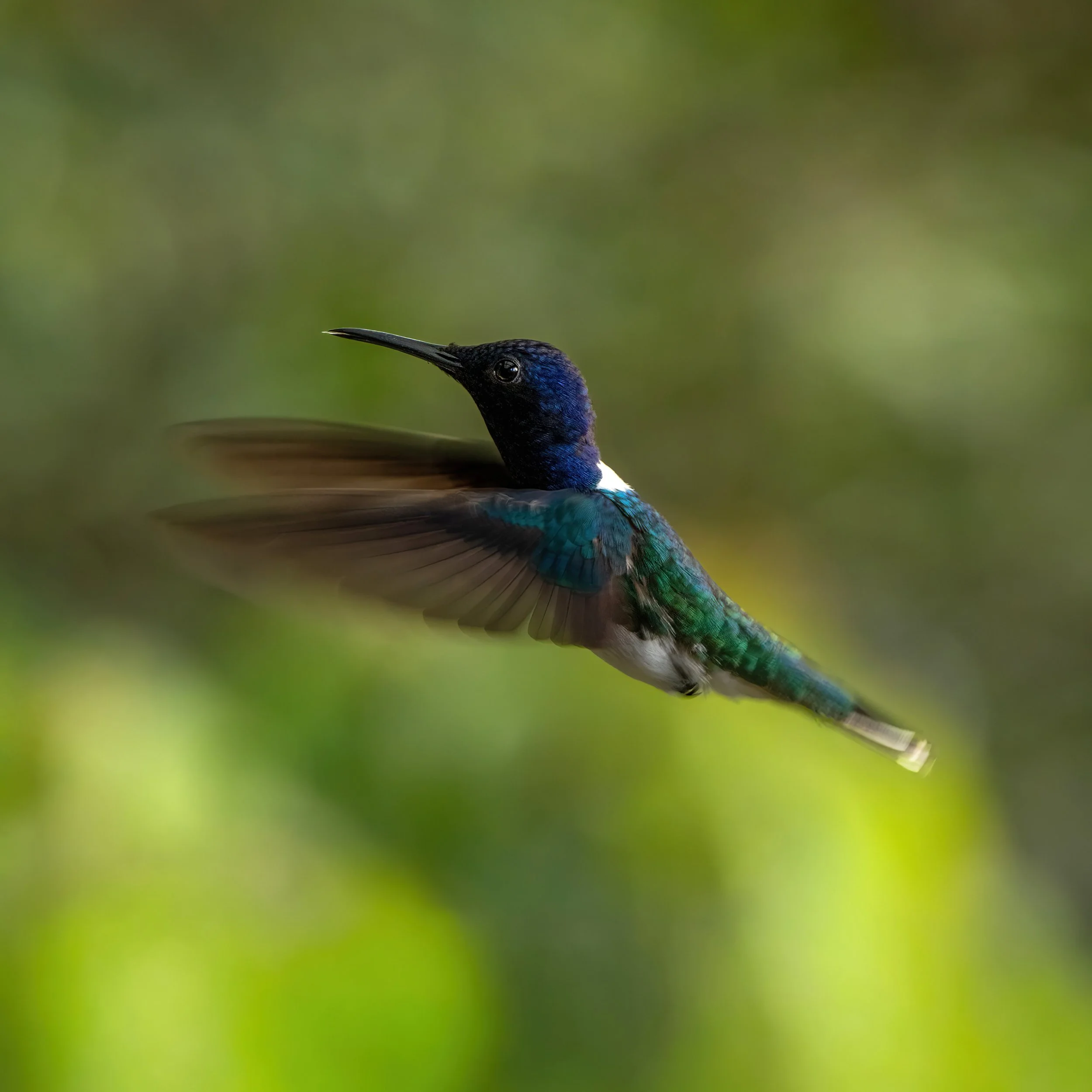 Ecuador