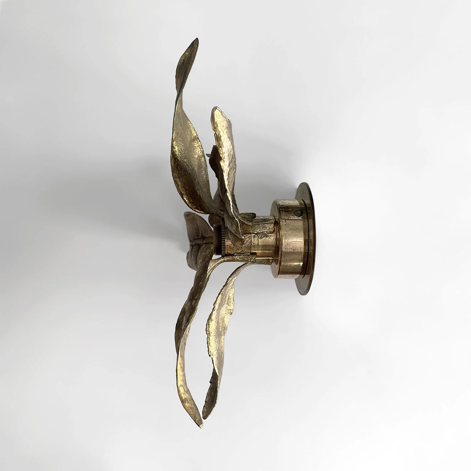 Pair of Belgian Floral Leaf Wall Lights 14 web.jpg