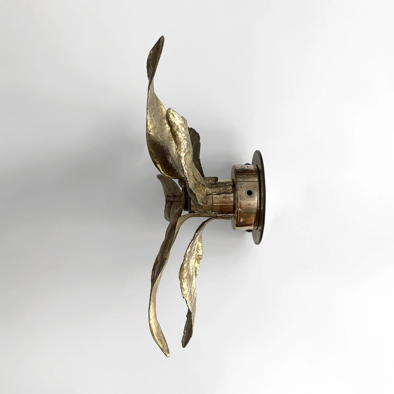 Pair of Belgian Floral Leaf Wall Lights 16 web.jpg