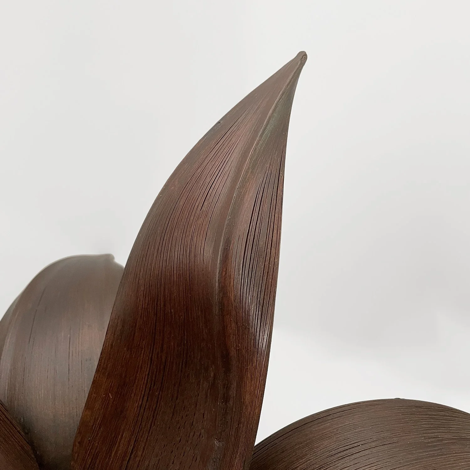 French Sculpted Wood Flower Light 9 web.jpg