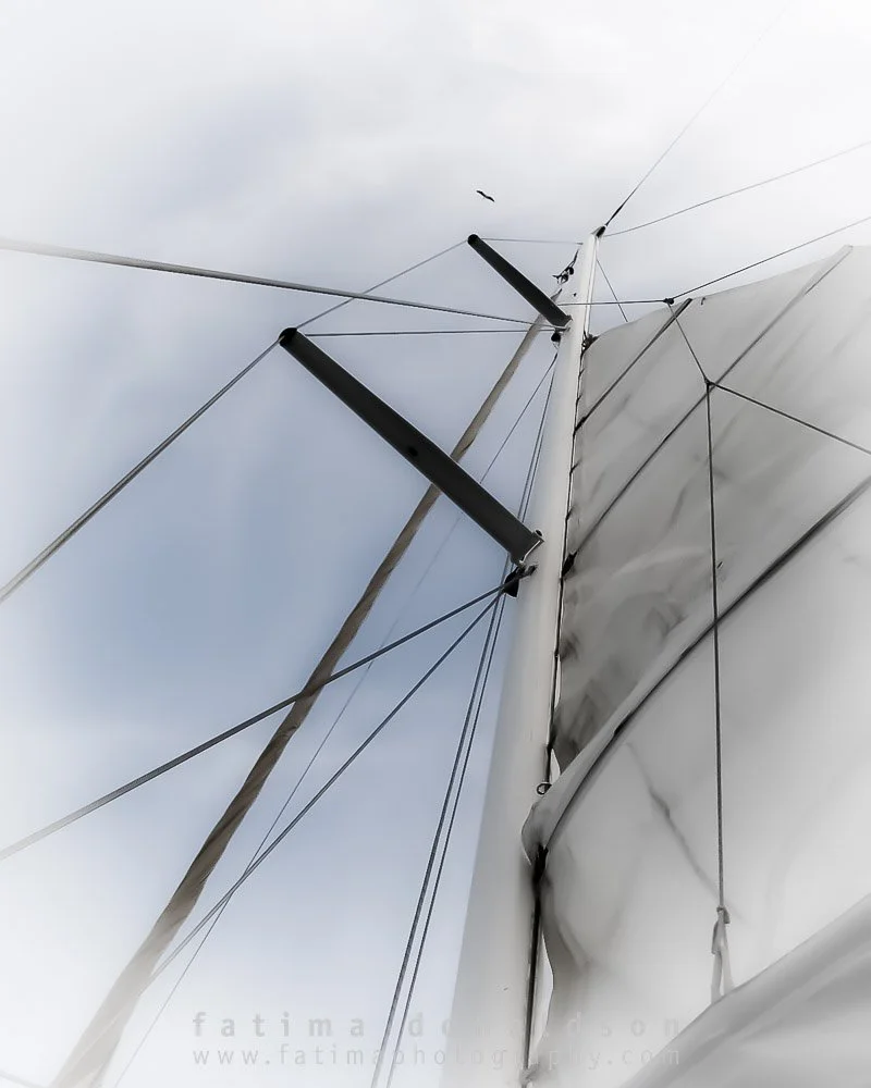 sailing off Cape Town South Africa