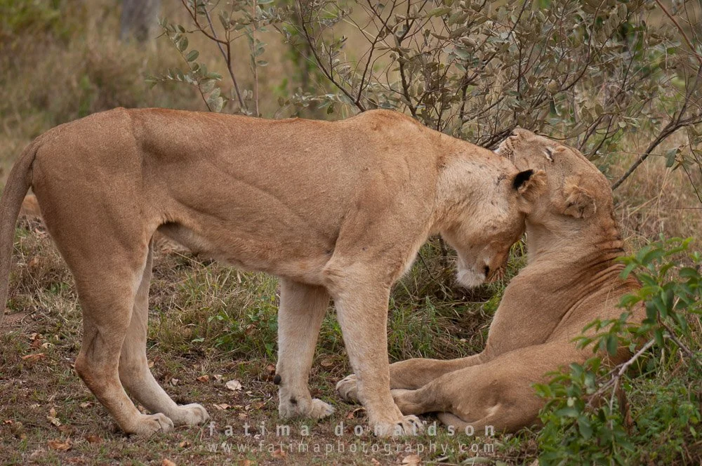 20110612-_DSC3022.jpg