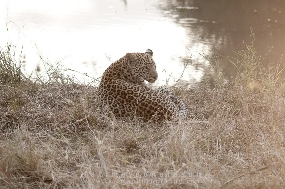 20110612-_DSC3334.jpg