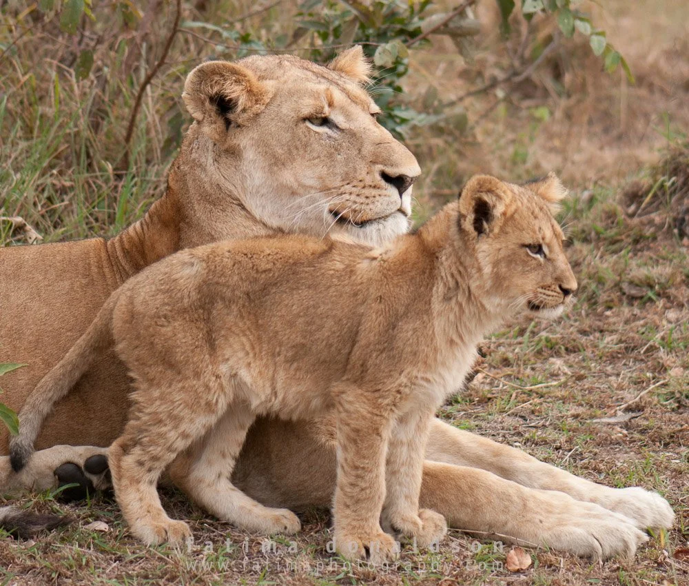 20110612-_DSC3043.jpg