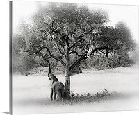 Reach I on Canvas.jpg