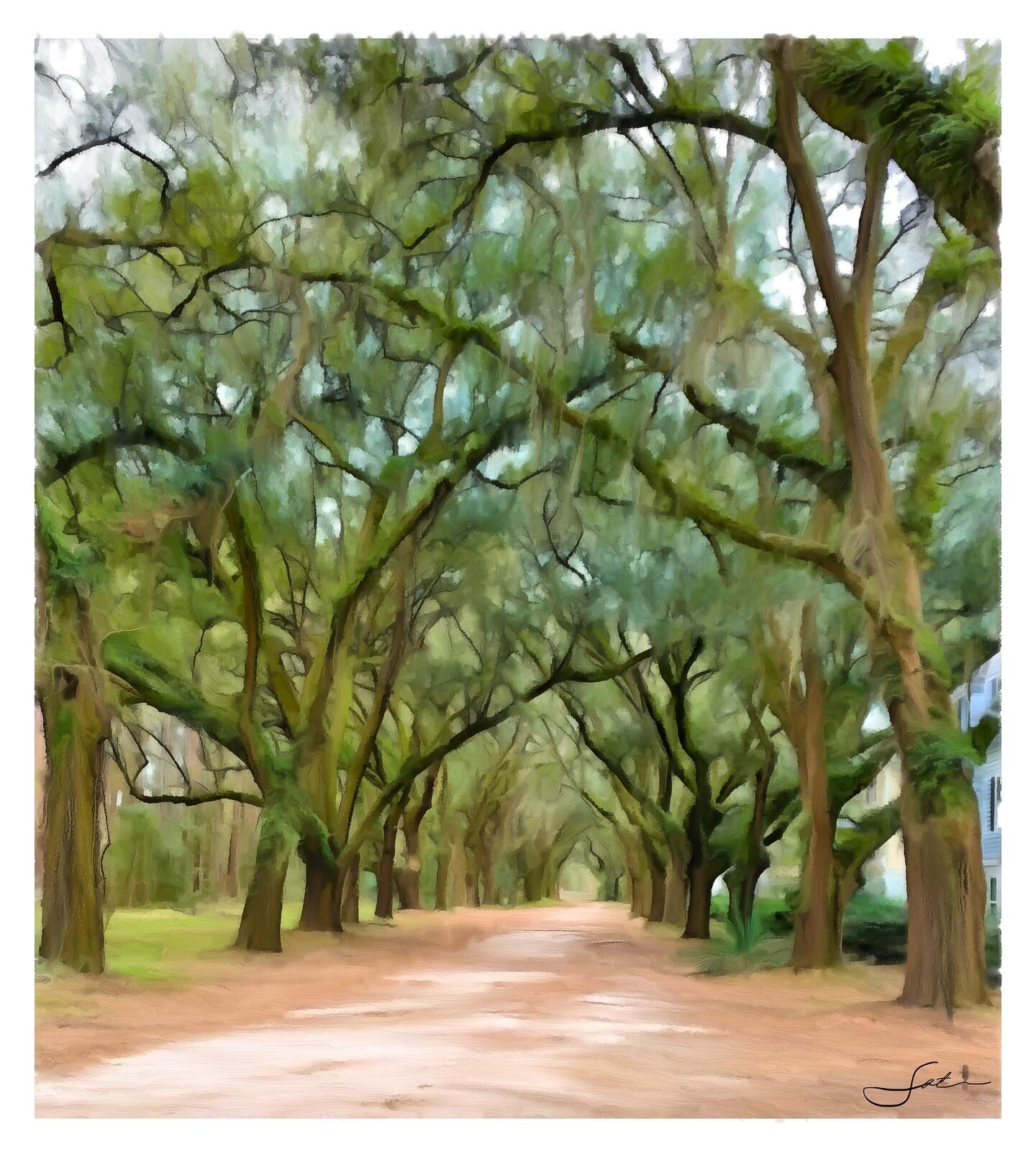 Taking a stroll in #Charleston - this piece is called &ldquo;holding hands&rdquo; as suggested by the trees.