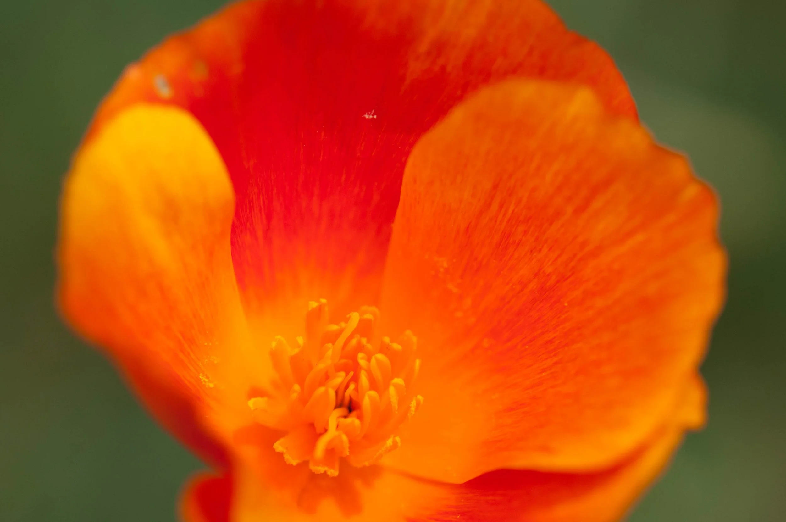 20110516-_DSC1032.jpg