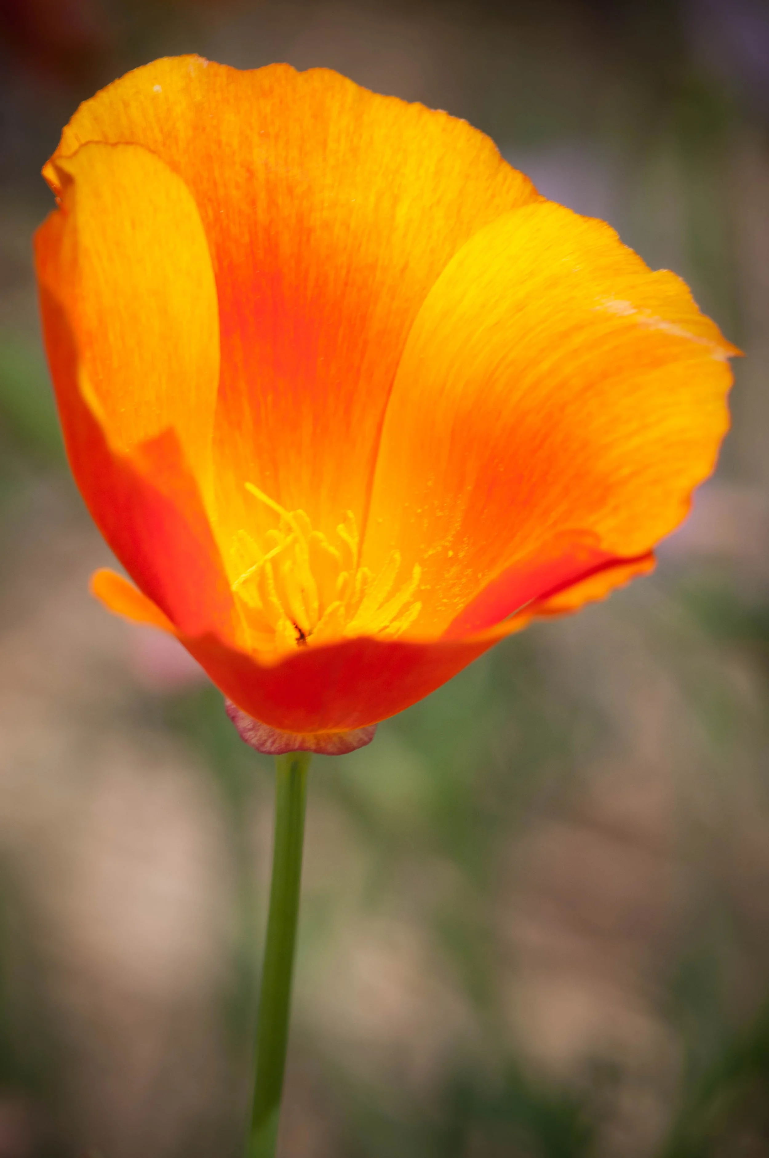 20110516-_DSC1044.jpg