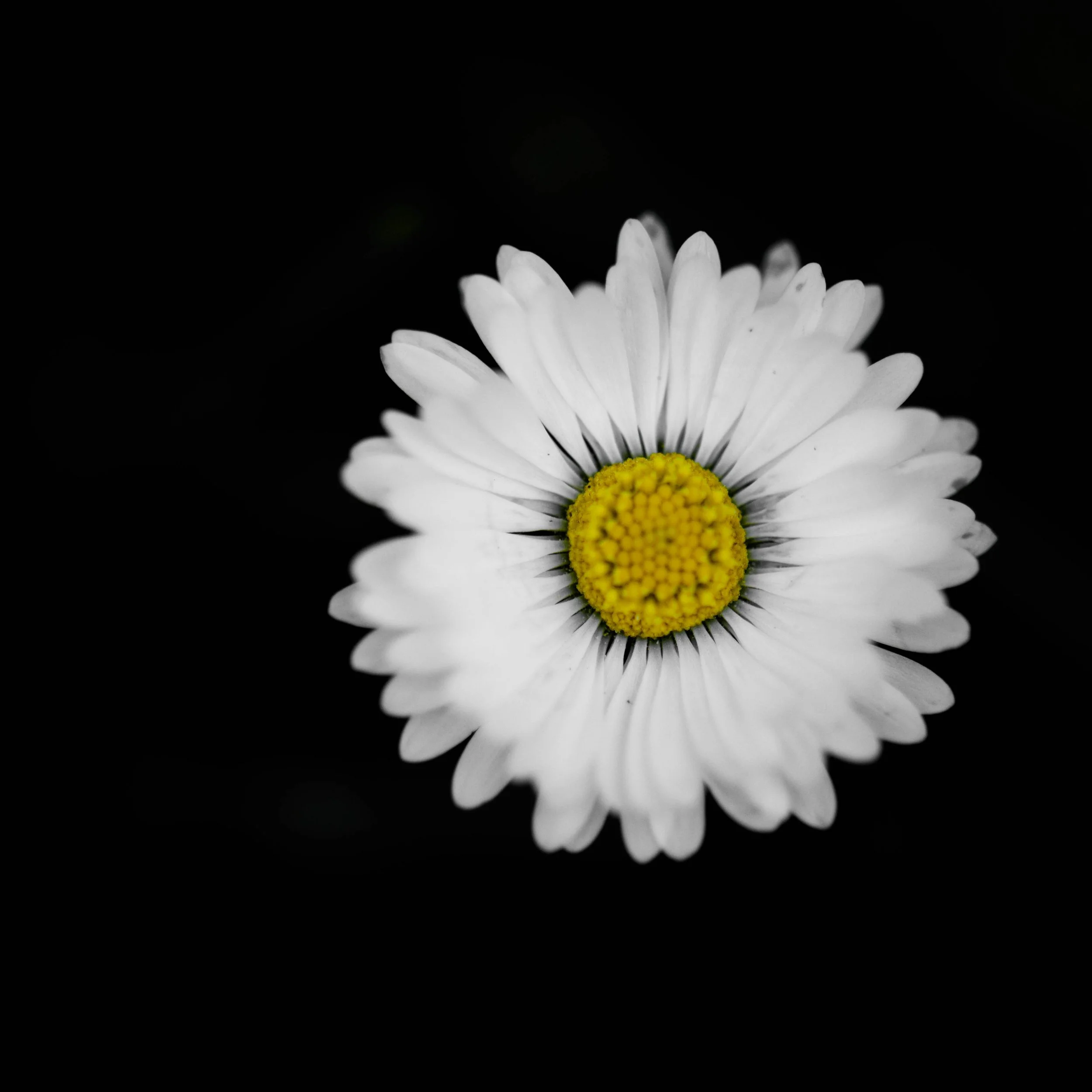 20150507-DSC_2214.jpg