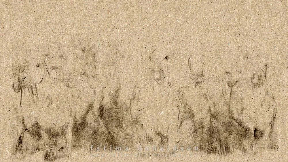 Wild & Free Camargue Horses.jpg
