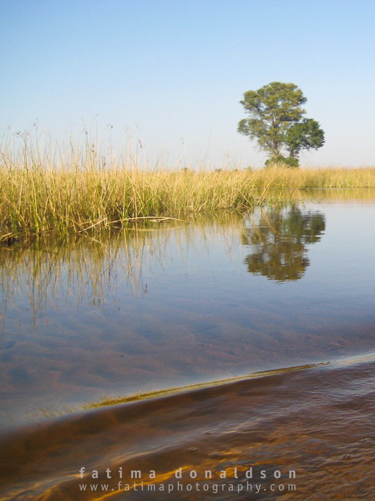 Riding the Okavango River