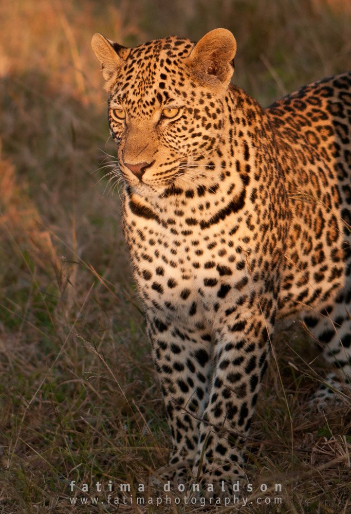 20110612-_DSC3450.jpg