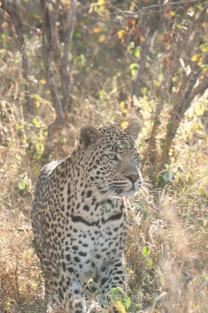 20110611-_DSC2821-2.jpg