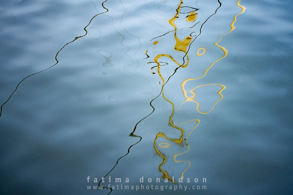 NATURE'S LOVE LETTERS : Gold Mast