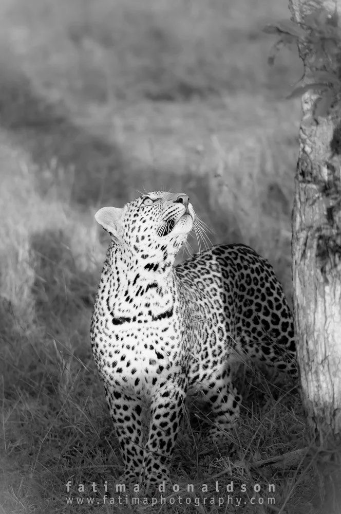 20110612-_DSC3445.jpg
