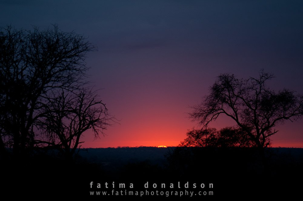 African Sunset