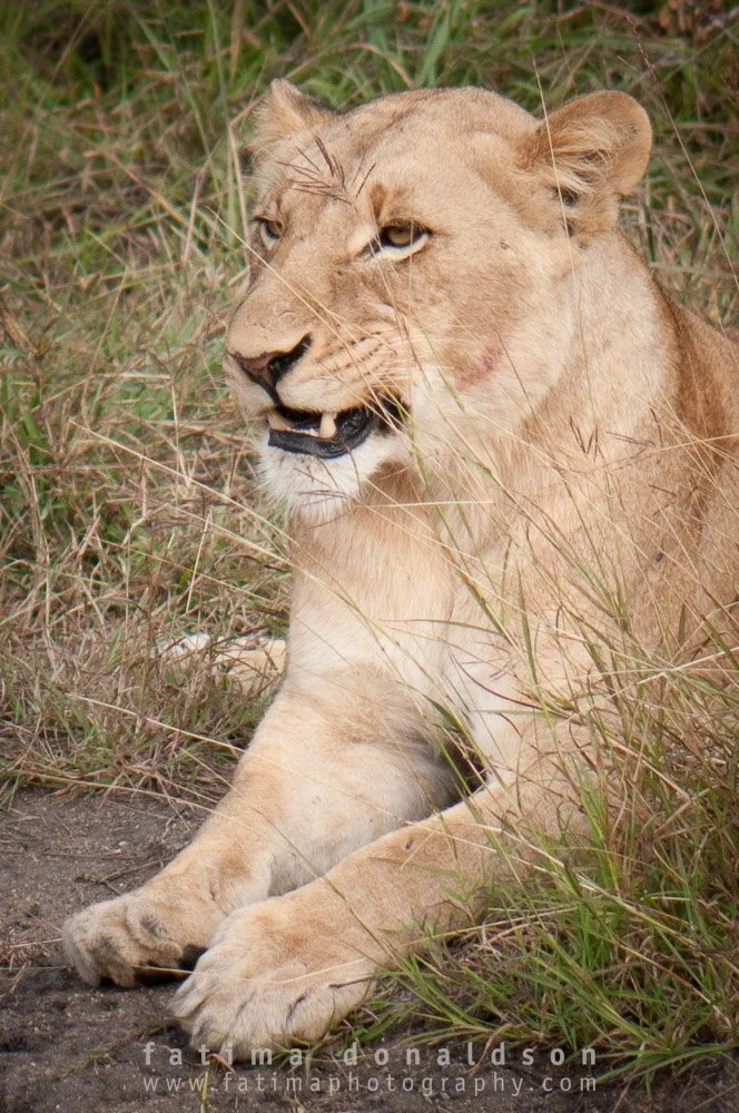 20110612-_DSC3137.jpg