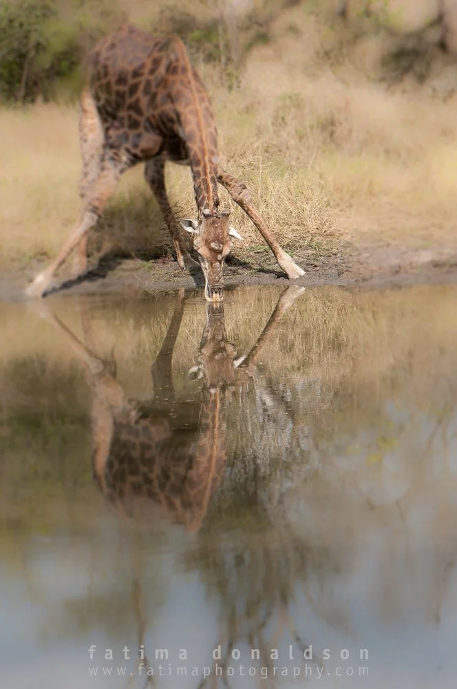 20110612-_DSC3236.jpg