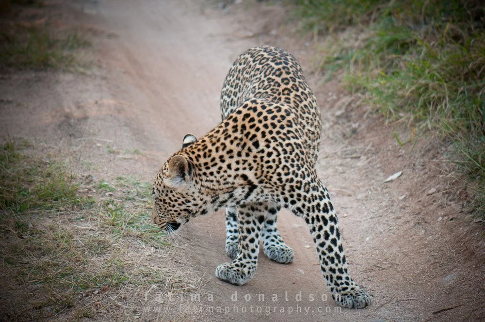 20110612-_DSC3375.jpg