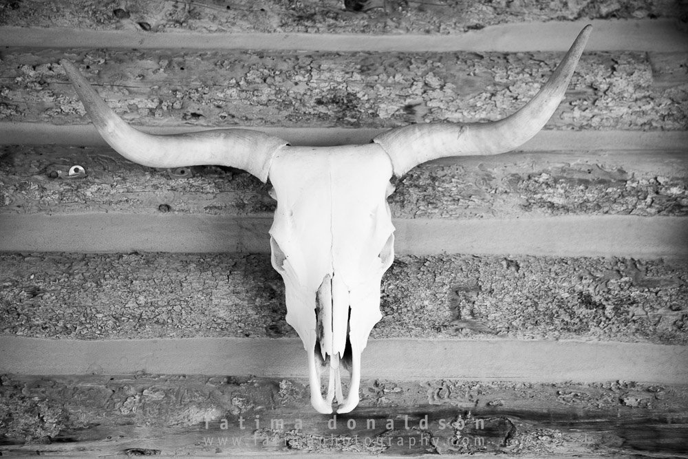 Skull