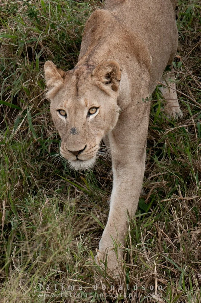 20110612-_DSC3188.jpg