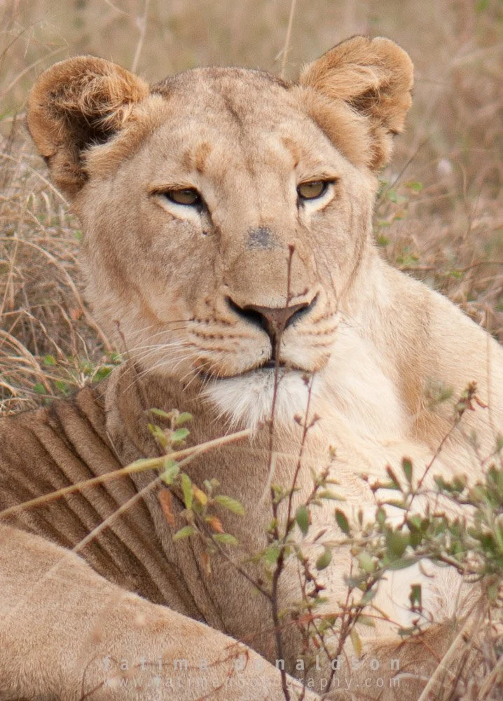 20110612-_DSC3080.jpg