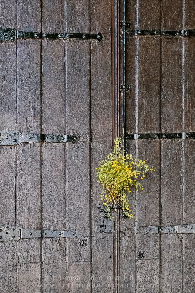 Door with a YELLOW Bouquet