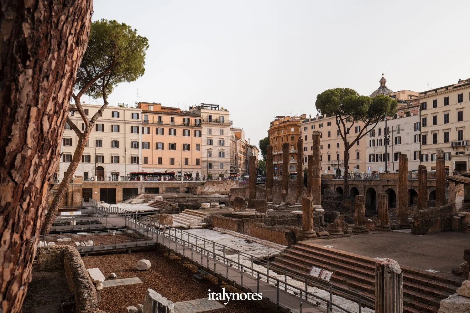 Area Sacra di Largo Argentina: holy site, murder scene and cat sanctuary