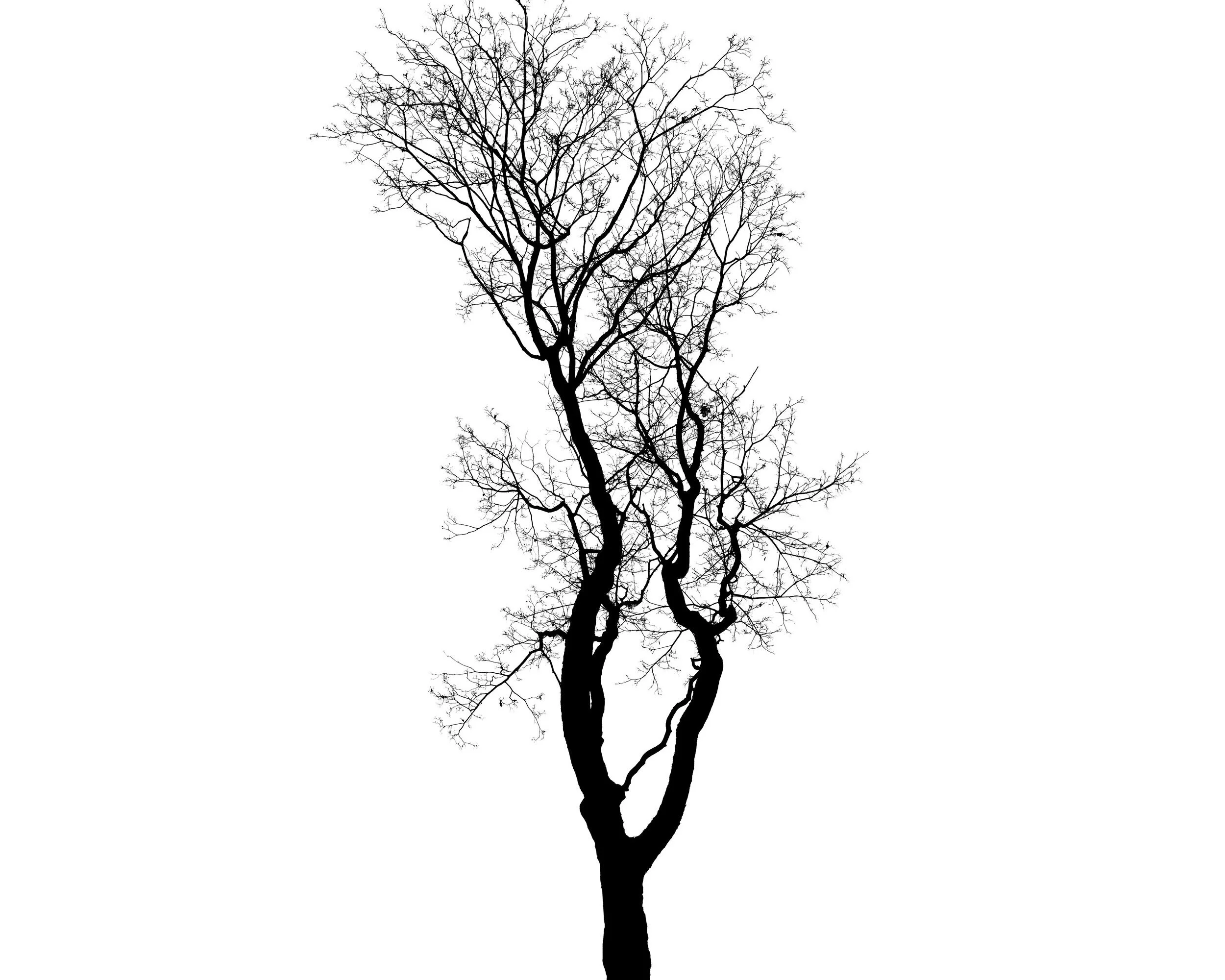 AdobeStock_76853826.jpeg