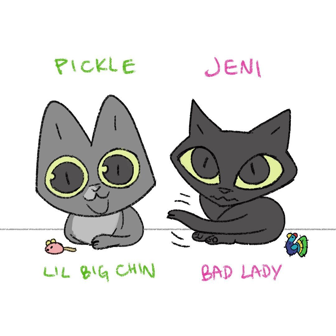 Just a sketch of my cats Pickle and Jeni with their nicknames and fav toy (at the moment).
#catlife