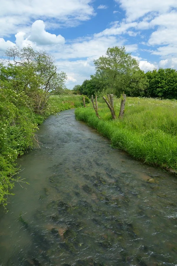 River Evenlode at Shipton-under-Wychwood - Portrait