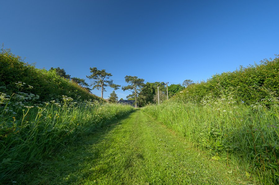 Path behind offices 3