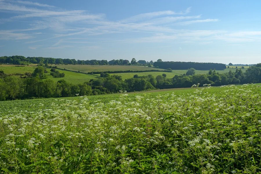 Behind offices view 2