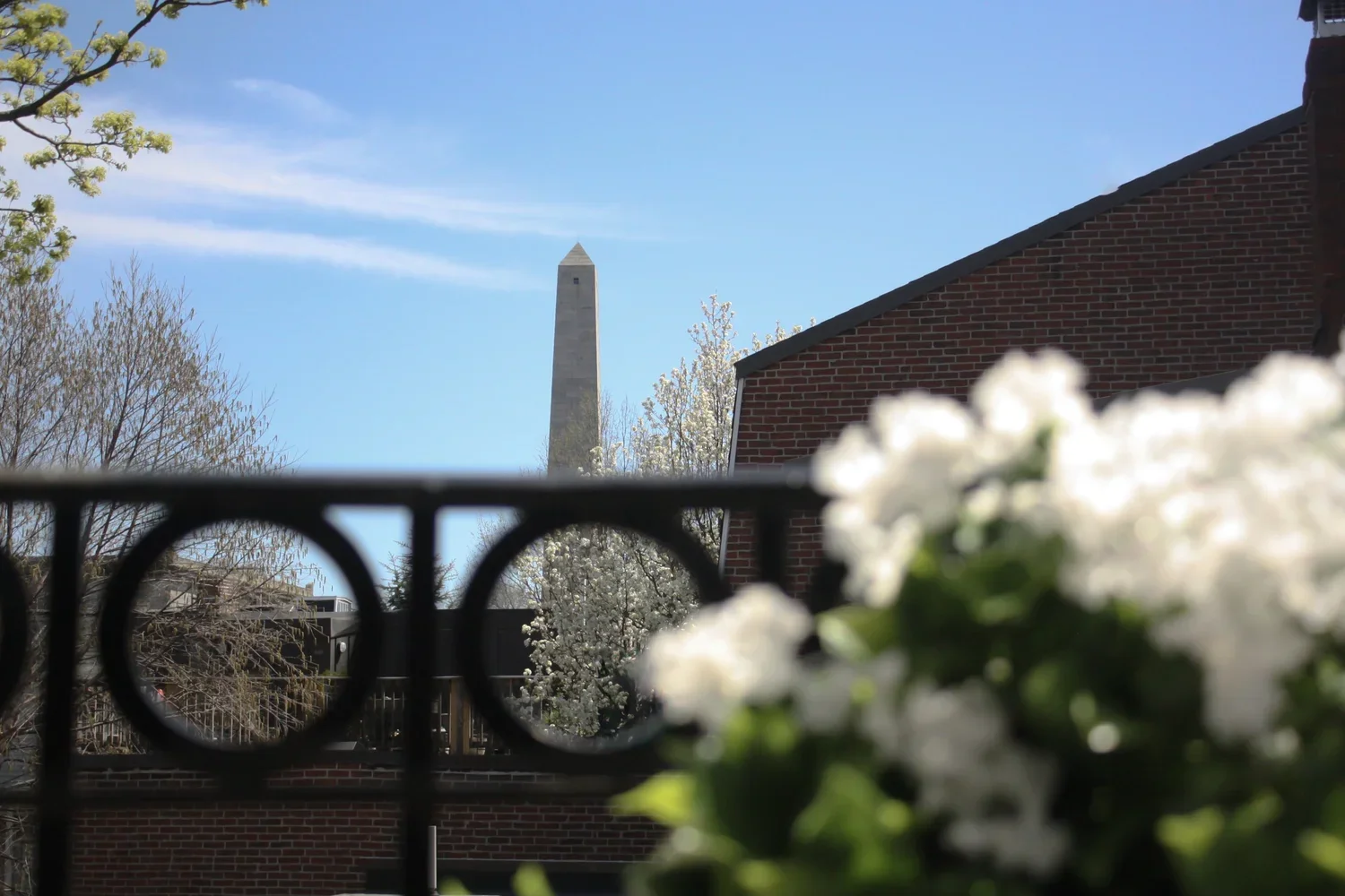 27-IMG_3490.webp