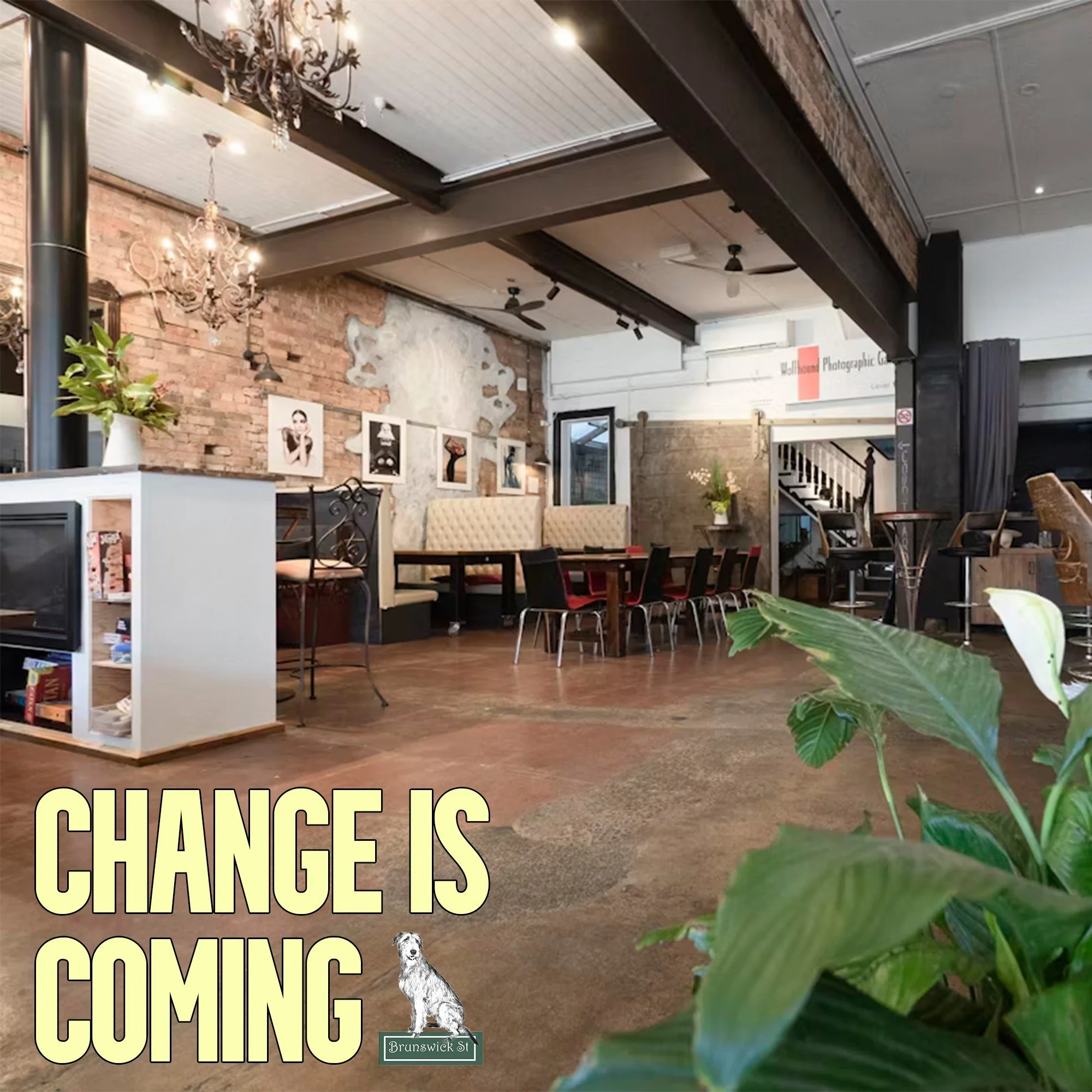 Change is coming to Wolfhound on Brunswick!
From April 15th Wolfhound will be running primarily as a function space.
We will no longer be operating as a cafe or bar with our last day being Sunday April 14th.

We would like to express our love and gra