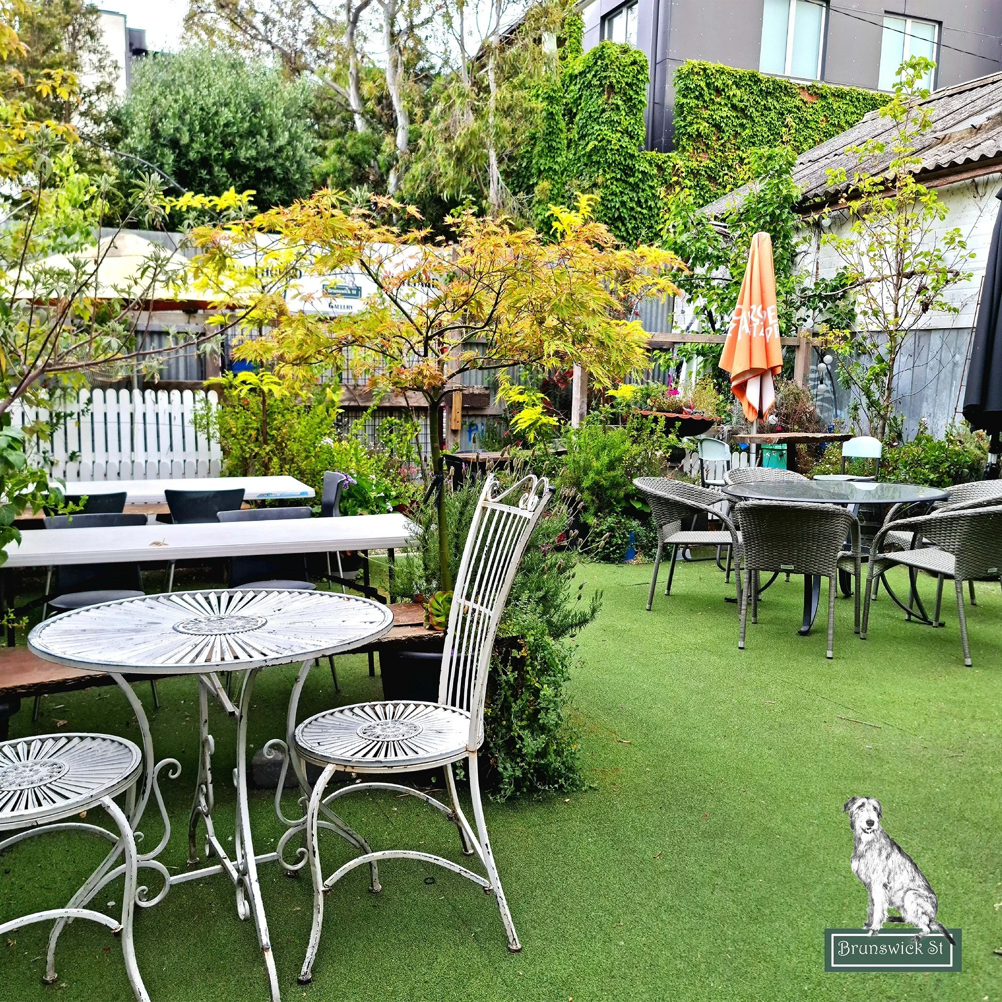 Our lovely courtyard awaits you.

The best place on Brunswick St to relax with mates and unwind.

Come check it out for yourself