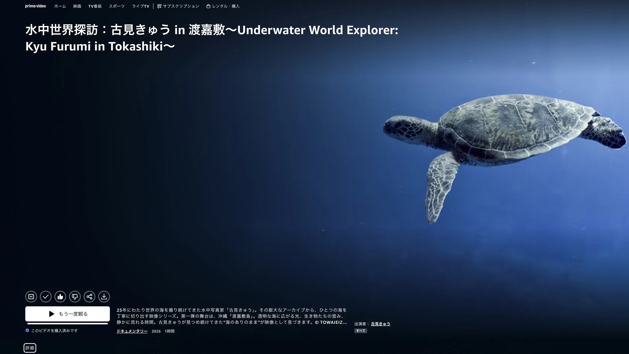 古見きゅうの水中世界探訪