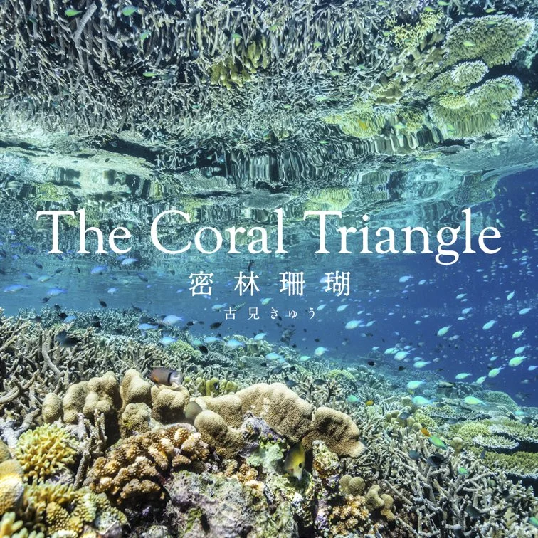 【2023年7月 新刊写真集「The Coral Triangle」を出版！キヤノンギャラリー東京・大阪で写真展を開催します】