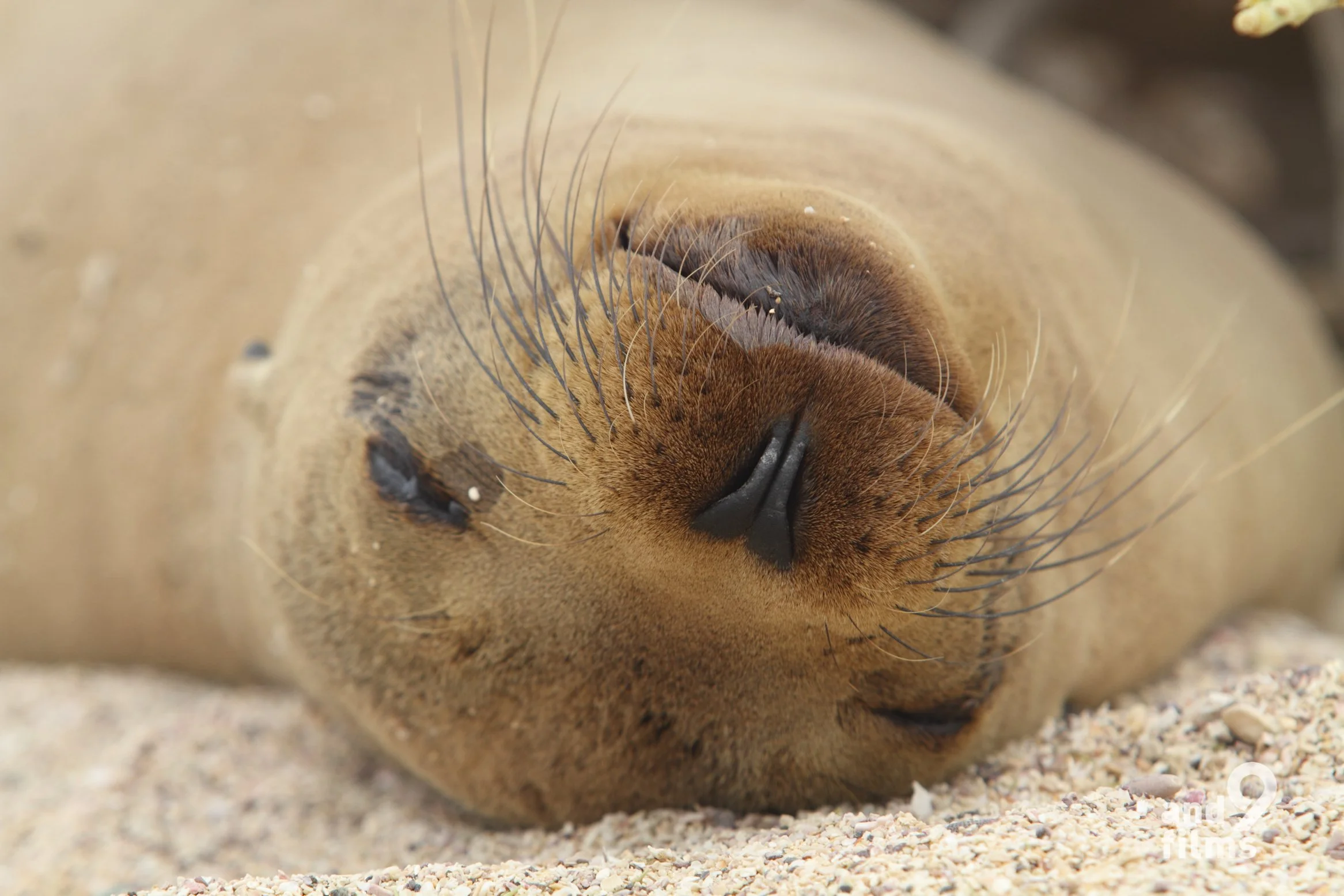 【最近の掲載情報】