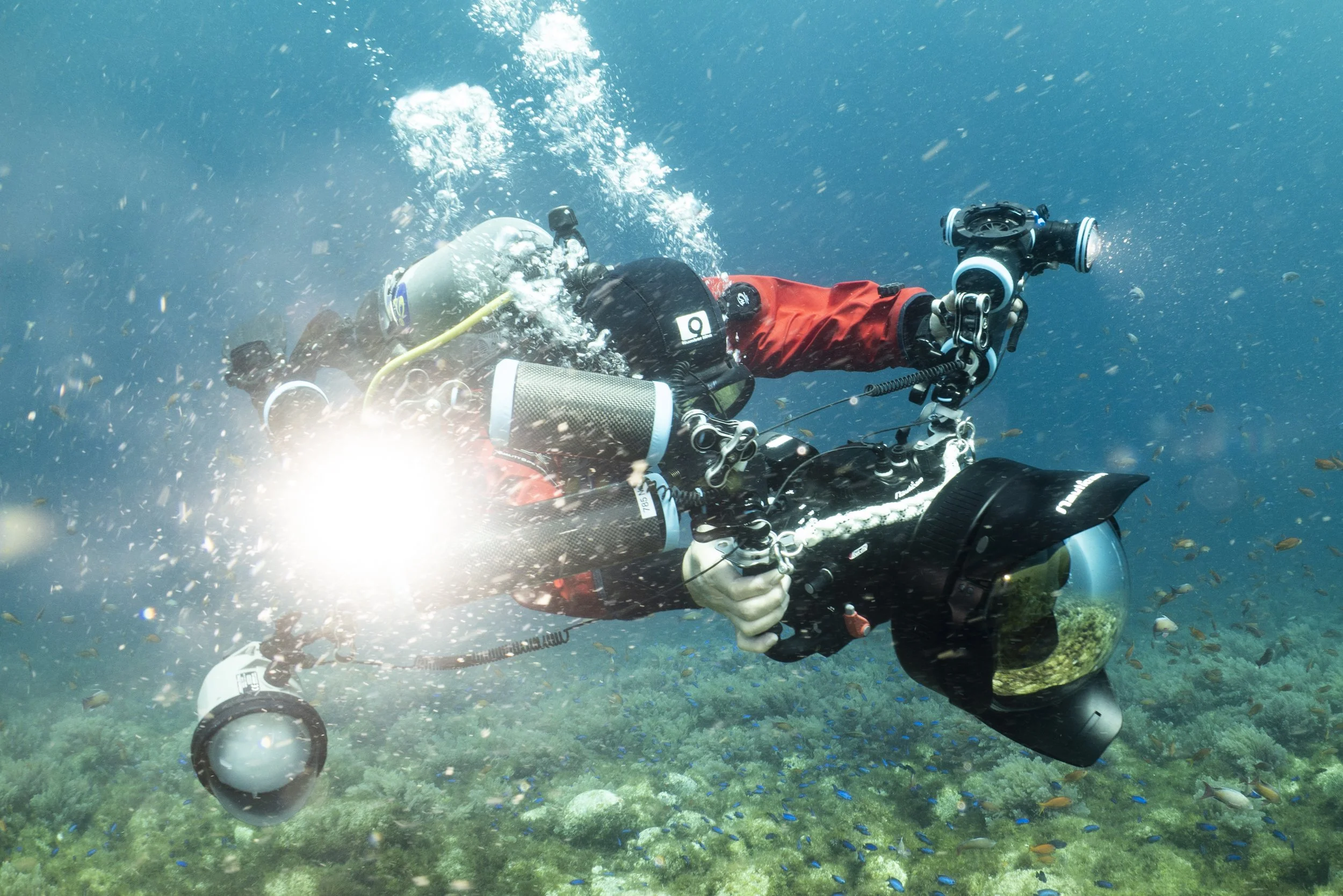 ダイバーが海中で水中カメラを操作している写真。背景にはサンゴや小さな魚が見える。