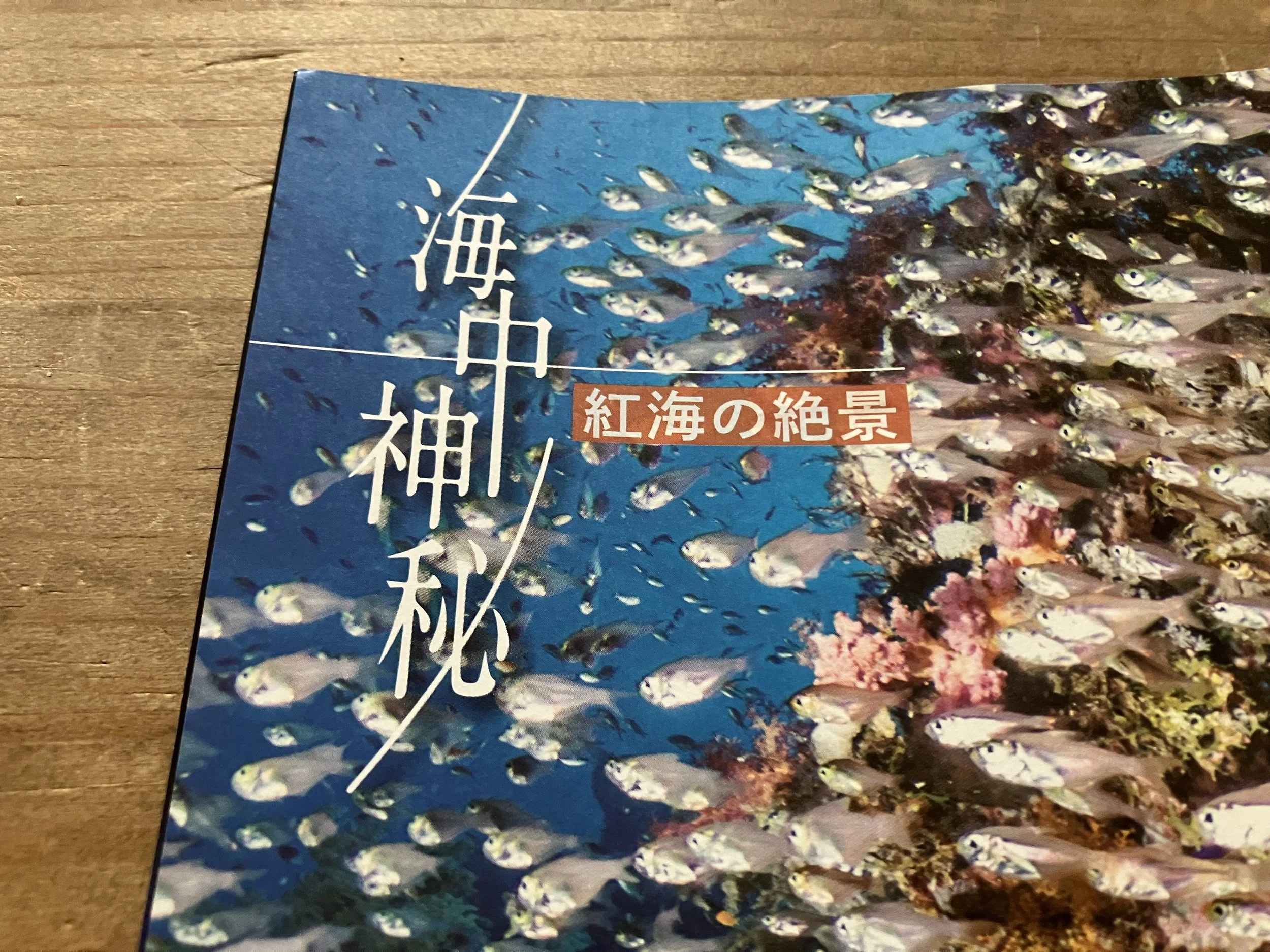 IMG_3953.jpeg