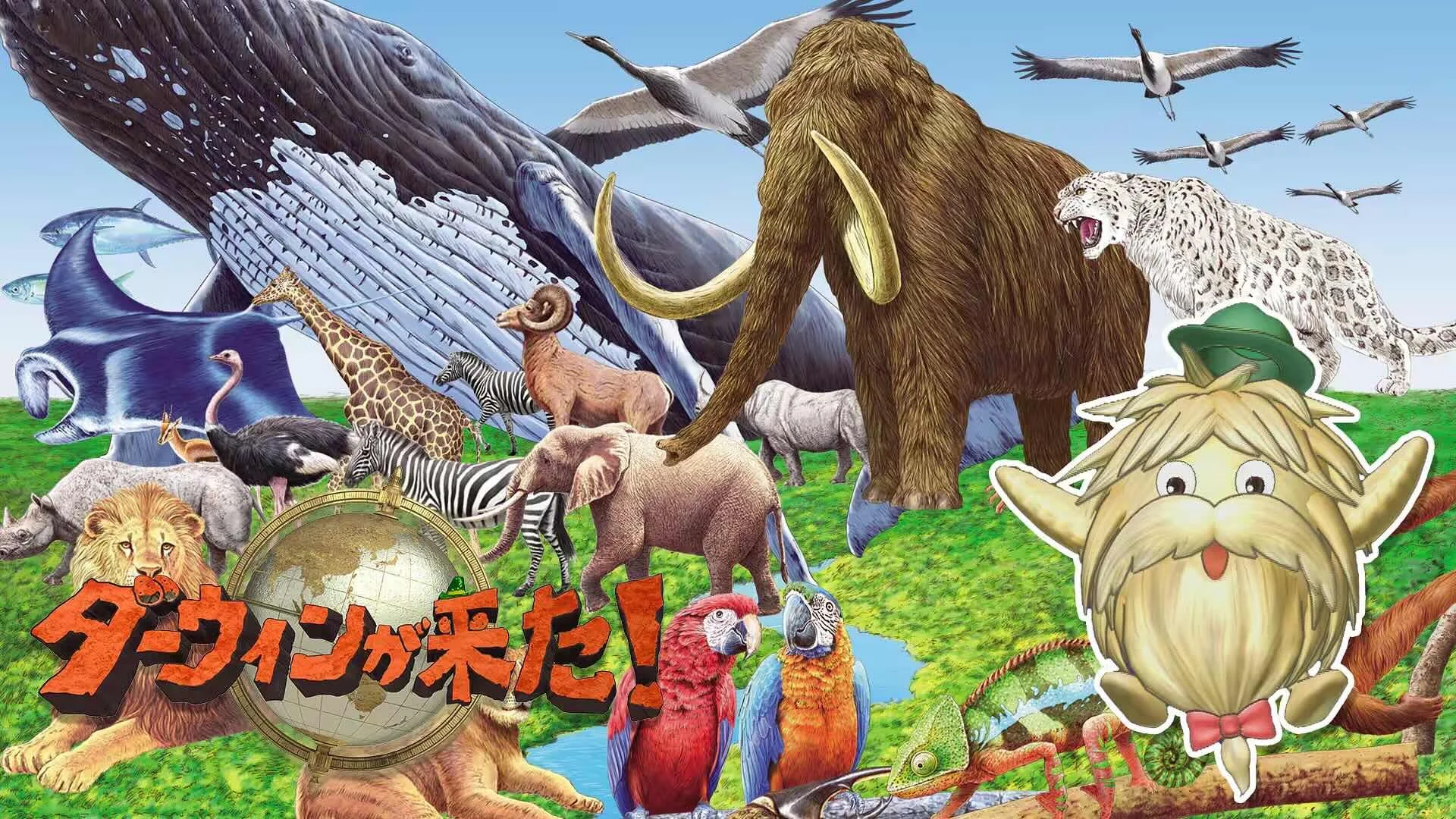 12/21 OA.ダーウィンが来た!に出演・撮影を担当しました。