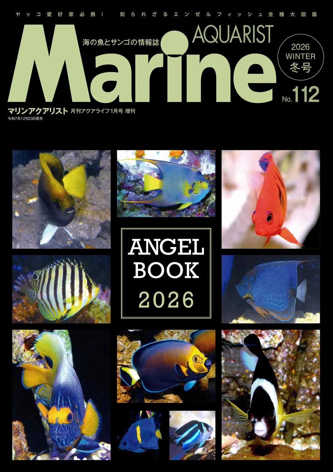 【マリンアクアリスト最新号！連載「海中神秘」】