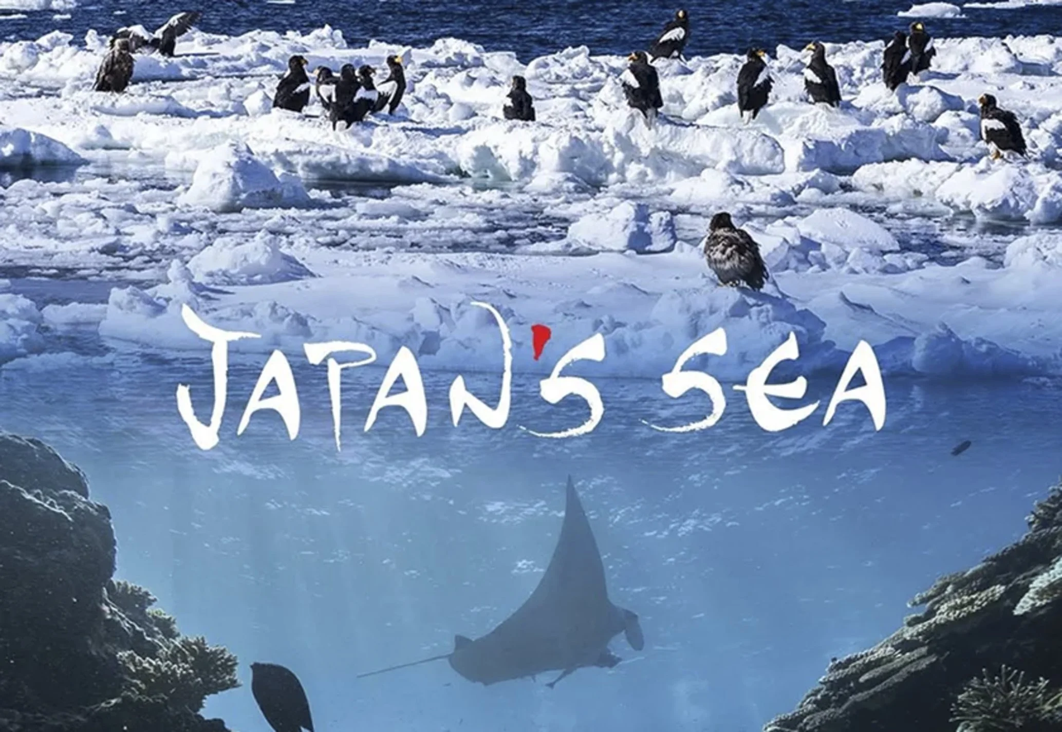 creator_tue_japansea.jpg