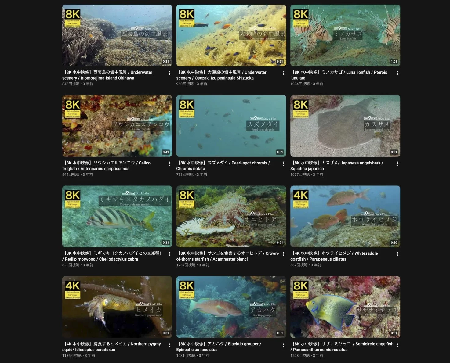 水中の様子を捉えた複数の動画サムネイル。サンゴやさまざまな魚、クマノミやタカハダイなどの海の生き物が映っている。