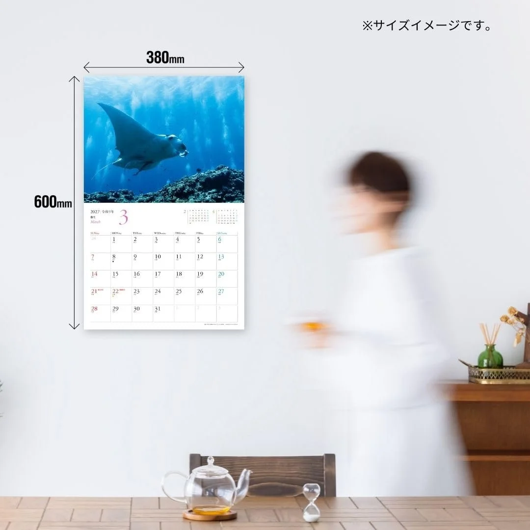 2027年度JTBカレンダーに古見きゅうの写真が掲載