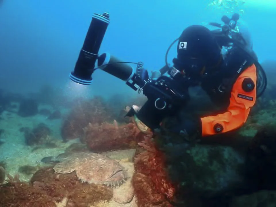 キアンコウ撮影中の古見きゅう